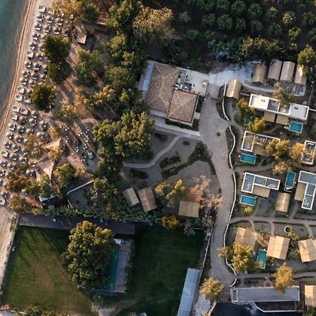 Ergon Beach House Nikiti Eksteriør bilde